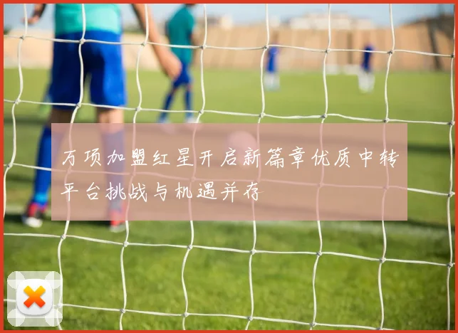 万项加盟红星开启新篇章优质中转平台挑战与机遇并存