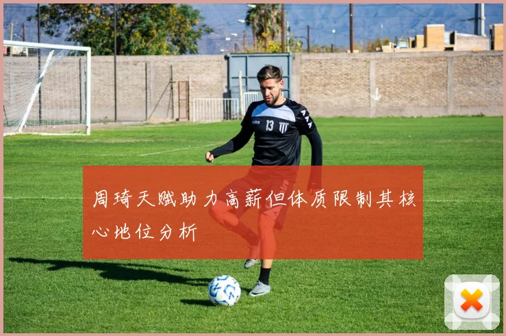 周琦天赋助力高薪但体质限制其核心地位分析