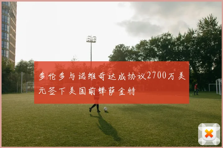 多伦多与诺维奇达成协议2700万美元签下美国前锋萨金特